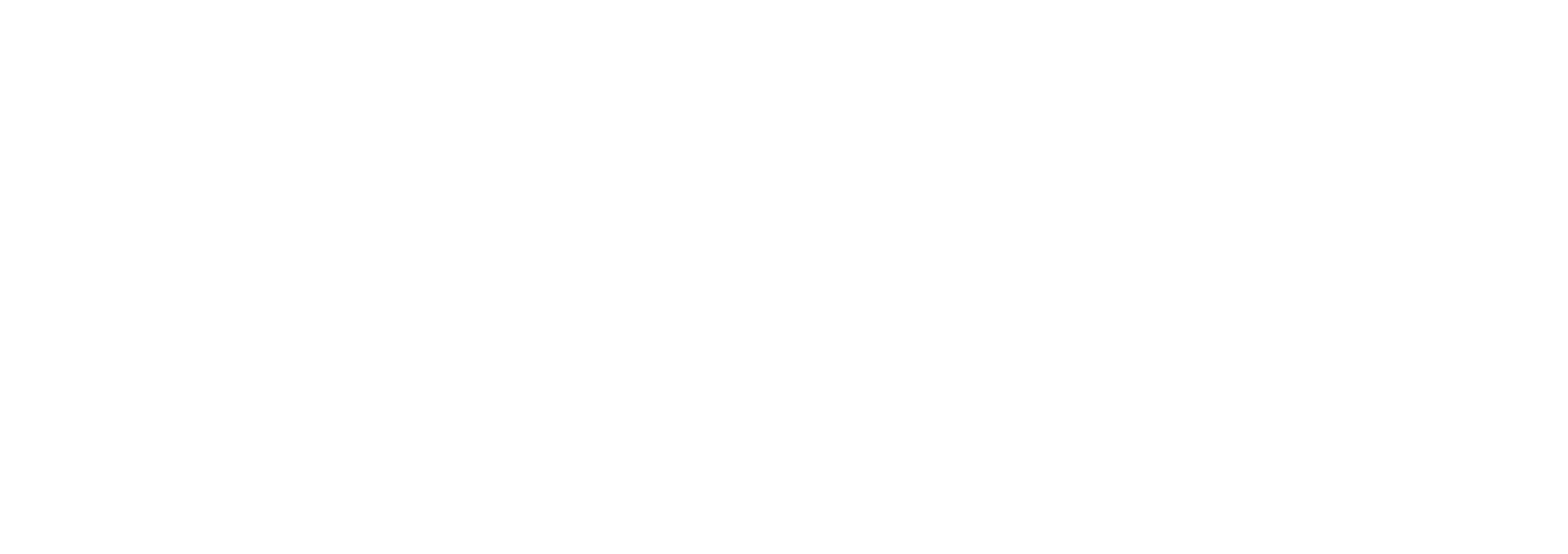 partner-1
